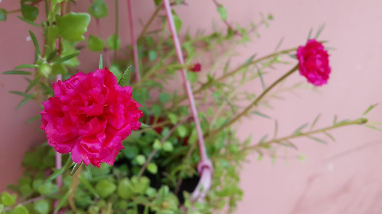Pama Hotel Kampong Chhnang Dış mekan fotoğraf